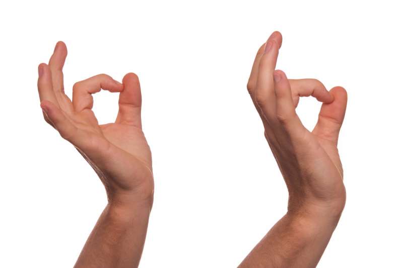 Podstawy języka migowego z dofinansowaniem