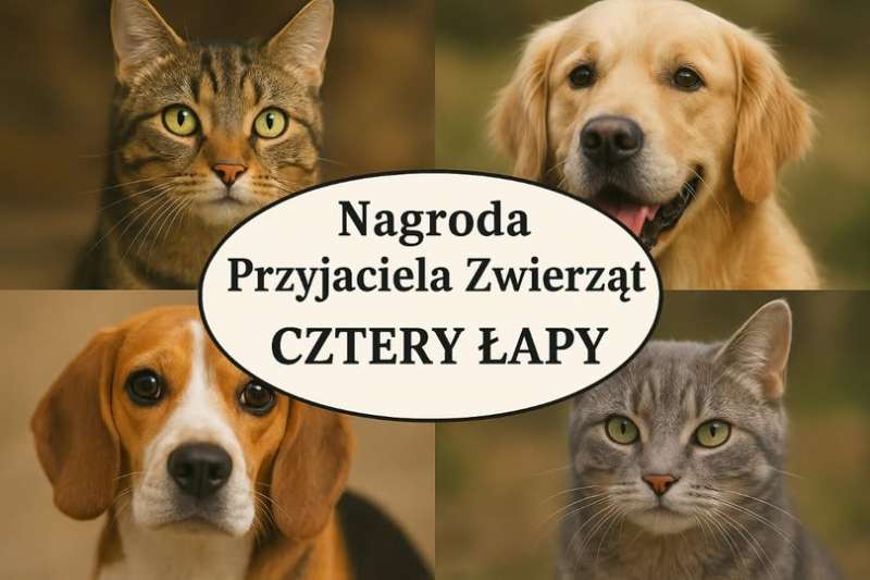 Nagroda Przyjaciela Zwierząt "Cztery łapy"