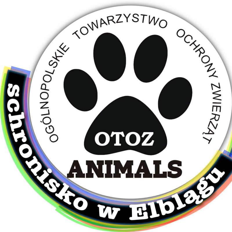 Puszkowy alert Schroniska OTOZ Animals w Elblągu